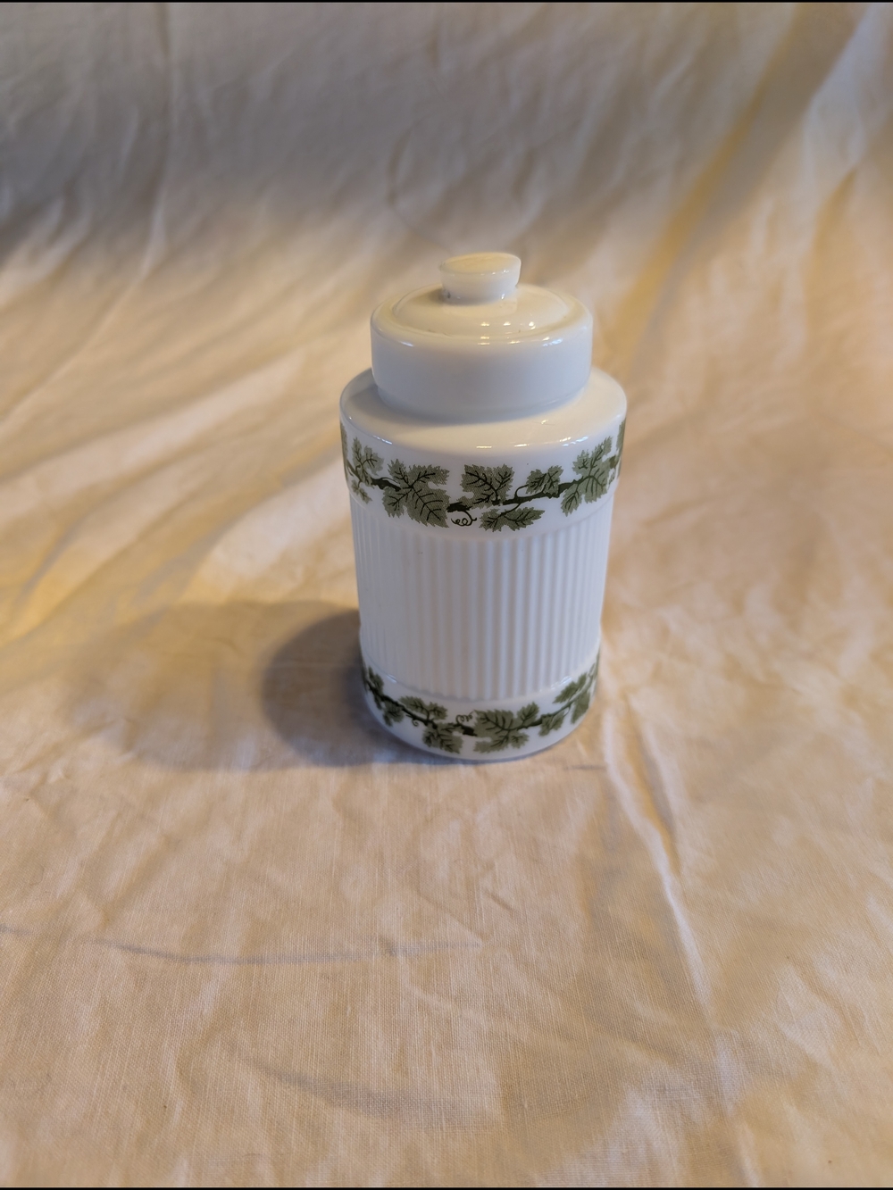 2/40$ Milk Glass Canister with Green Leaf Border
